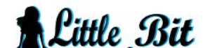 Little Bit of Apparel & Promos